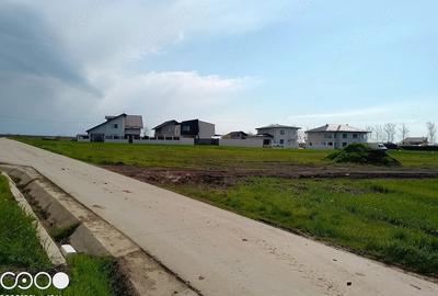 Teren de 5000 mp, în Dancu - 3