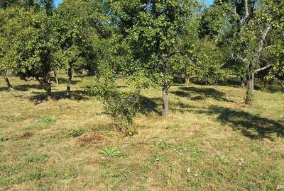 Teren de 5193 mp, în Corbi - 1