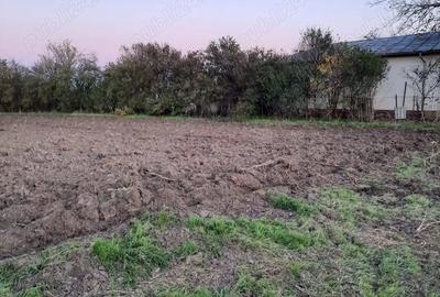 Teren de 1500 mp, în Plătărești