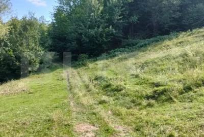 Teren de 70290 mp, în Poiana Ampoiului - 4