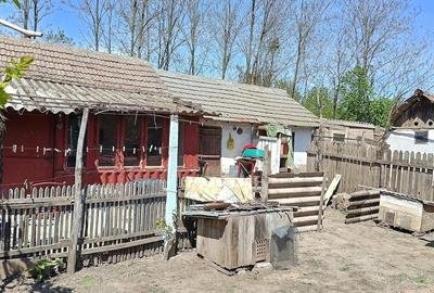 Casă cu 4 camere cu Teren 1350 Mp în Gheorghe Lazăr - 5