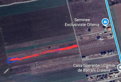 Teren Construcții intravilan de 8000 mp, în Șimnicu de Sus - 5