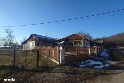 Casă cu 4 camere cu Teren 4977 Mp în Ribița - 5