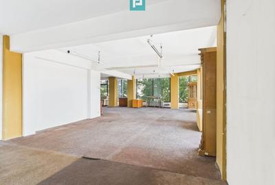 Spațiu comercial, de 343 mp, în Aradului - 5