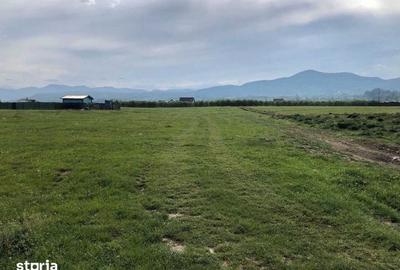 Teren de 1425 mp, în Central