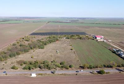 Teren agricol extravilan de 10000 mp, în Frumușani - 2