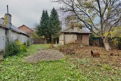 Teren Construcții intravilan de 2306 mp, în Tâncăbești - 14
