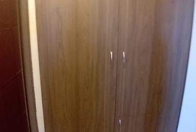 Apartament cu 2 camere semidecomandat în P-ța Victoriei - 16