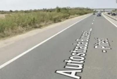 Teren de 7000 mp, în Căteasca