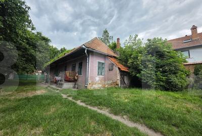 Casă cu 3 camere cu Teren 1280 Mp în Chichiș - 5