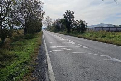 Teren de 1600 mp, în Mineri - 1