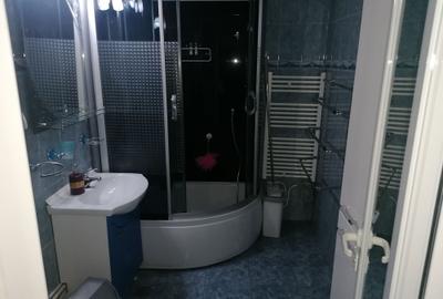 Apartament cu 2 camere semidecomandat în Buzaului - 7