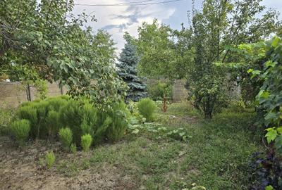 Casă cu 2 camere în Boiu - 5
