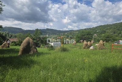 Teren Construcții intravilan de 1030 mp, în Valea Doftanei - 3