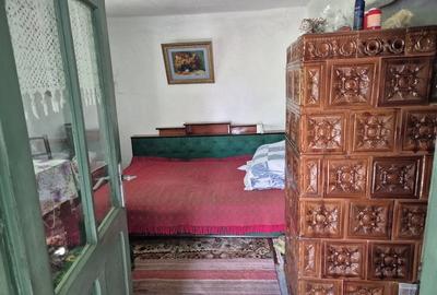 Casă cu Teren 5867 Mp în Vârlezi