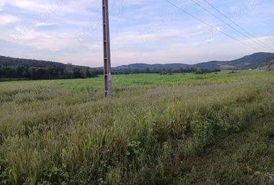 Teren de 30000 mp, în Lupoaia - 2