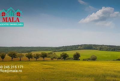 Teren Construcții intravilan de 4600 mp, în Valea Voievozilor