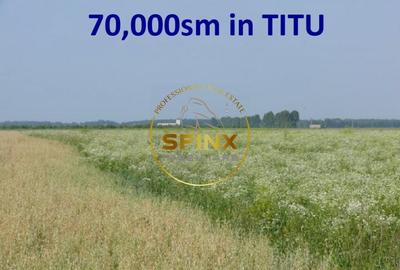 Teren agricol extravilan de 70000 mp, în Titu - 1