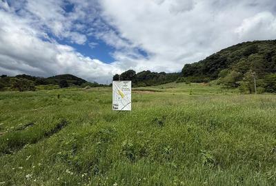 Teren de 700 mp, în Troianu - 1