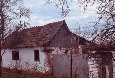 Casă cu Teren 1388 Mp în Răpsig