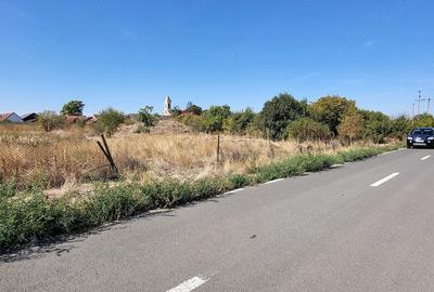 Teren de 1400 mp, în Teremia Mică