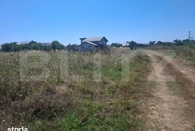 Teren de 3000 mp, în Ulmi
