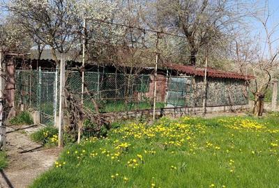 Casă cu 4 camere în Ideciu de Sus - 1
