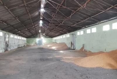 Teren de 16575 mp, în Sintea Mare - 1