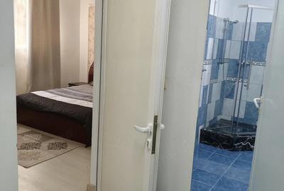 Garsonieră decomandată în Coiciu - 3