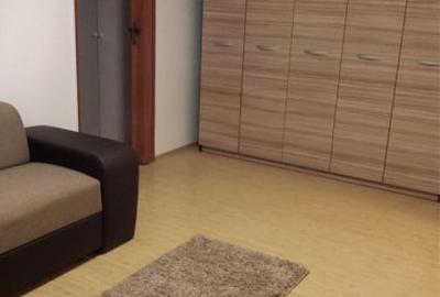 Apartament cu 2 camere semidecomandat, mobilat în Teiul Doamnei - 8