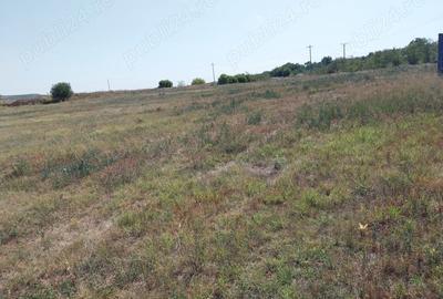 Teren de 15000 mp, în Central - 4