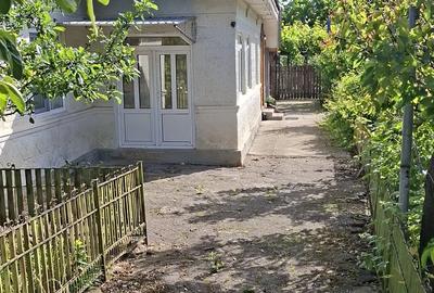 Casă cu Teren 3100 Mp în Coțatcu - 1