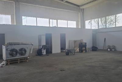 Spațiu industrial, de 400 mp, în Olteni - 3