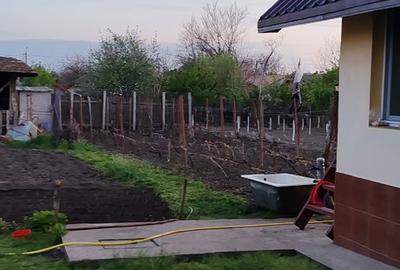 Casă cu 2 camere cu Teren 800 Mp în Galicea Mare - 7