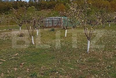 Spațiu comercial, de 6,800 mp, în Central - 19