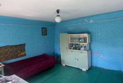 Casă cu 4 camere cu Teren 1735 Mp în Tolstoi - 2