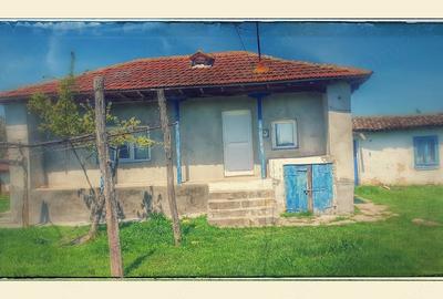 Teren de 5000 mp, în Ceamurlia de Sus