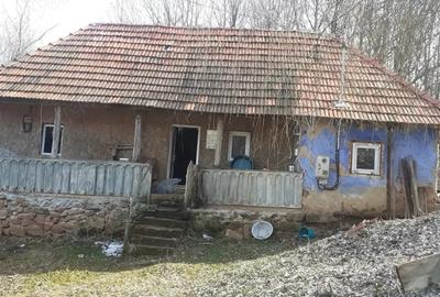 Casă cu 3 camere cu Teren 1600 Mp în Vălișoara - 5