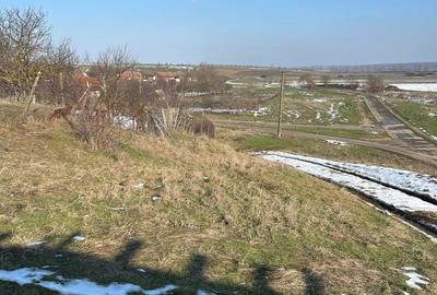 Teren de 1440 mp, în Murani - 1