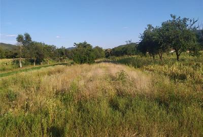 Teren de 2000 mp, în Brănișca - 8