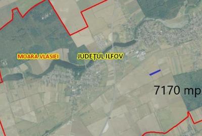 Teren agricol extravilan de 7170 mp, în Moara Vlăsiei - 2