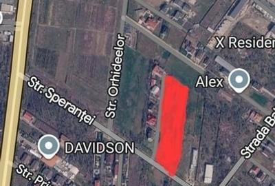 Teren de 3000 mp, în 1 Decembrie - 2