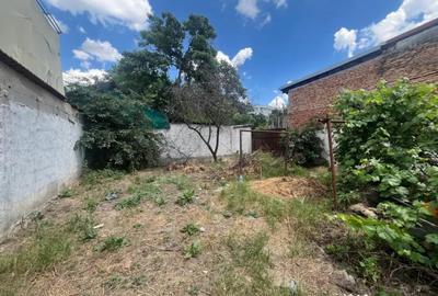Casă cu 3 camere cu Teren 300 Mp în Brazda lui Novac