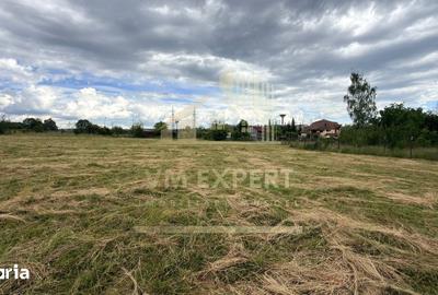 Casă cu 3 camere cu Teren 6997 Mp în Moieciu - 1
