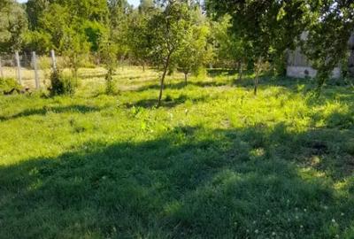 Casă cu 2 camere cu Teren 1800 Mp în Central - 11