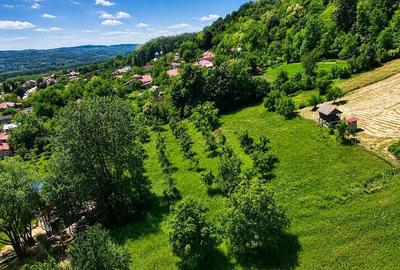 Teren de 7526 mp, în Șuricaru