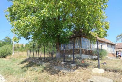 Casă cu 2 camere în Tușinu