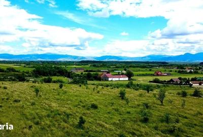 Teren de 854 mp, în Hărman - 5