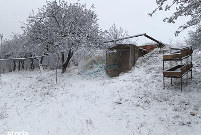 Casă cu 4 camere cu Teren 4863 Mp în Coșna - 8
