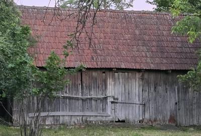 Casă individuală cu 2 camere cu Teren 7769 Mp în Budieni - 11